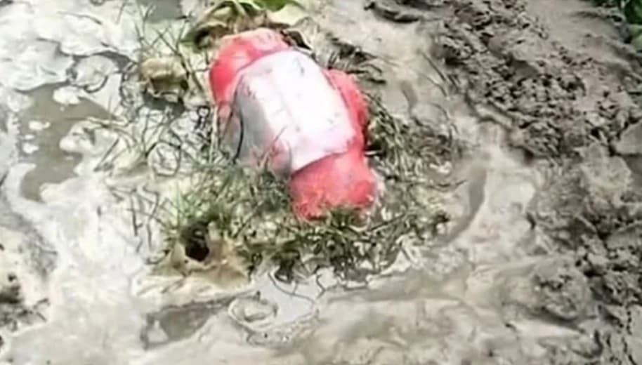 চুয়াডাঙ্গায় ‘জয় বাংলা’ লেখা বোমাসদৃশ বস্তু উদ্ধার