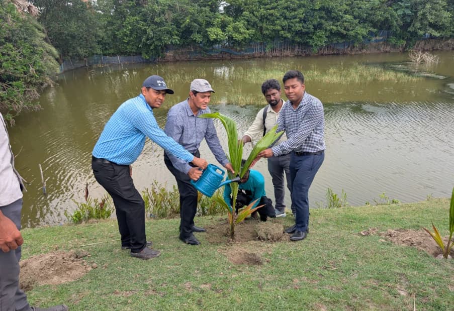 মোংলায় ৩ কিলোমিটার গ্রামীণ রাস্তায় বৃক্ষরোপণ কর্মসূচির উদ্বোধন