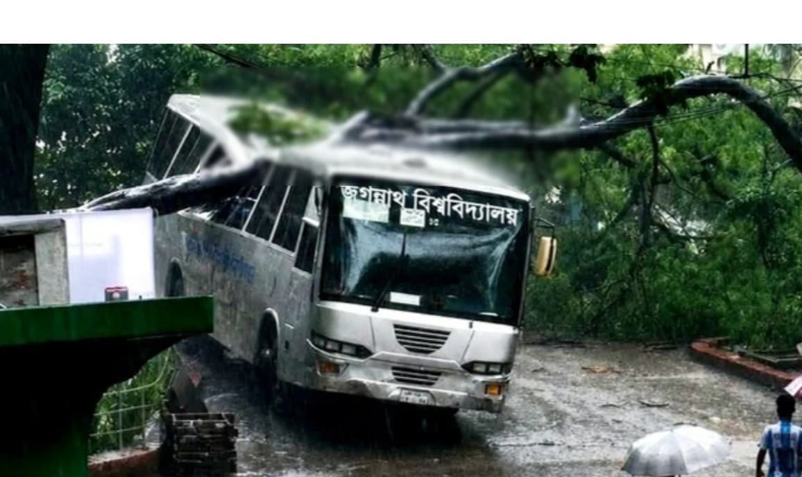 জবি ক্যাম্পাসে শতবর্ষী কৃষ্ণচূড়া উপড়ে পড়ে মারাত্মকভাবে ক্ষতিগ্রস্ত বিশ্ববিদ্যালয়ের বাস