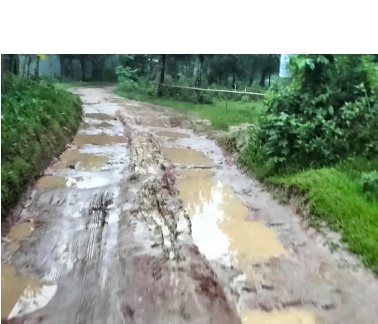 "মেদুয়ারীতে বেহাল সড়ক, দুর্ভোগে হাজারো মানুষ"