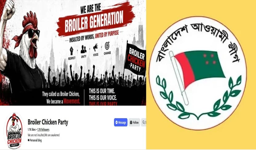 কেন তৈরি হলো 'ব্রয়লার চিকেন পার্টি'? পতিত ফ্যাসিস্টদের জন্য জেন-জি শিক্ষার্থীদের কড়া বার্তা