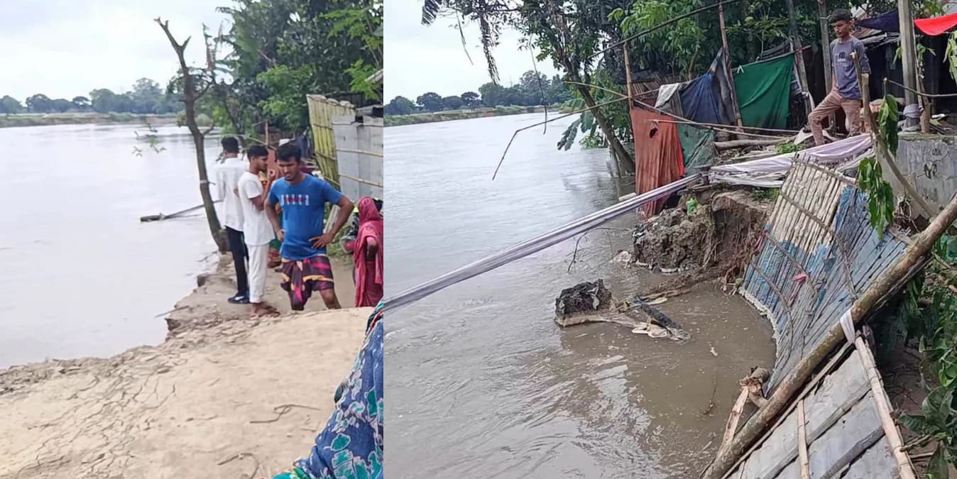টানা বৃষ্টিতে ঠাকুরগাঁওয়ে নদীভাঙনে সর্বস্ব হারানোর শঙ্কায় দিন কাটছে নদীপাড়ের বাসিন্দাদের