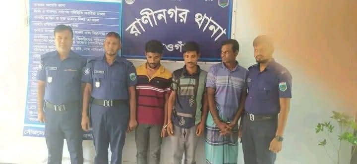 র‍্যাব ও পুলিশের যৌথ অভিযানে সিংড়ায় ধরা পড়ল আন্তজেলা গরু চোর চক্র, উদ্ধার ৫ গরু