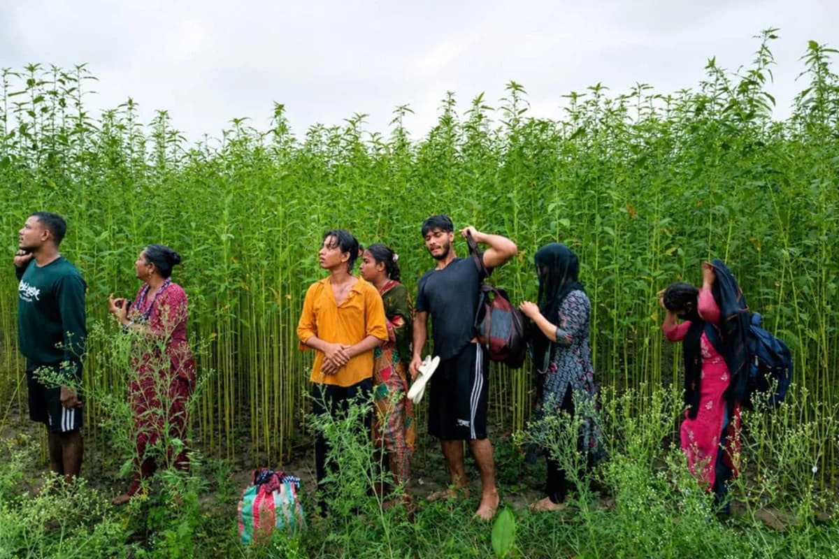 নারী ও ট্রান্সজেন্ডারসহ ৮ জনকে পুশইন করতে চেয়েছিল বিএসএফ, রুখে দিল বিজিবি