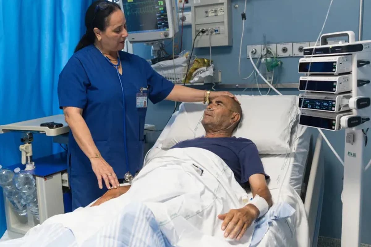 ক্যান্সার প্রতিরোধ ও দীর্ঘায়ুর চাবিকাঠি হতে পারে থাইমাস: চমকপ্রদ তথ্য হার্ভার্ডের গবেষণায়