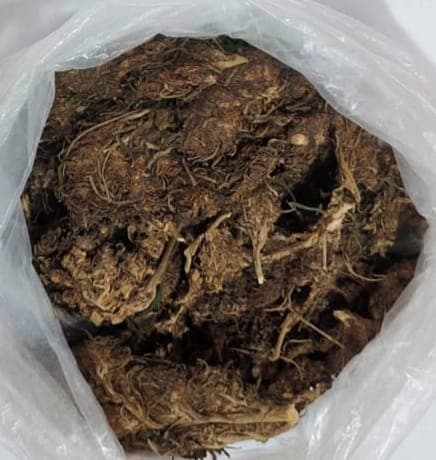 কাউখালীতে পুলিশের বিশেষ অভিযান: ইয়াবা ও গাঁজাসহ চিহ্নিত মাদক ব্যবসায়ী গ্রেপ্তার