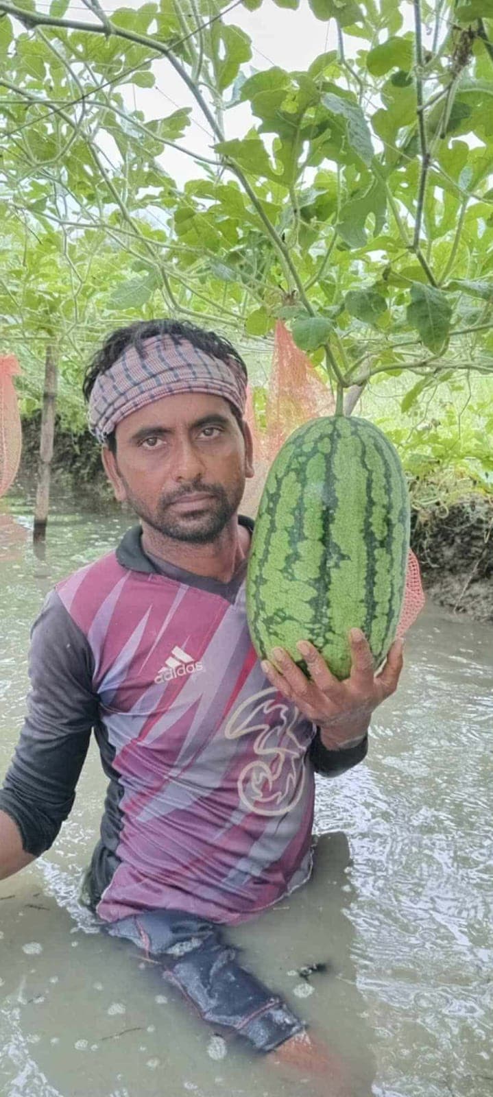 অসময়ের তরমুজে ডুমুরিয়ায় সফলতা: কৃষক মৃত্যুঞ্জয়ের মুখে প্রাপ্তির হাসি