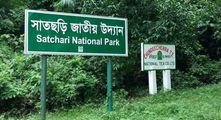 হবিগঞ্জে সাতছড়ির জঙ্গলে মাটির নিচে মিলল ৬ পিস্তল, ৭ ম্যাগাজিন ও ২২ রাউন্ড গুলি