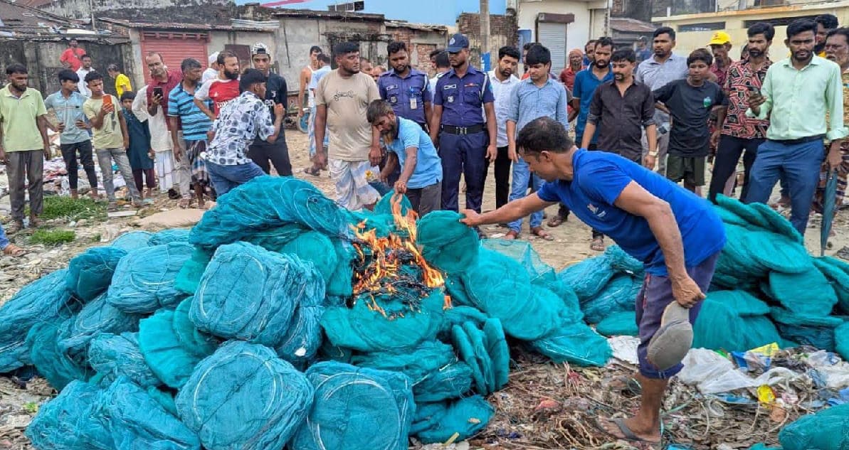 টান বাজারে পৌনে এক কোটি টাকার নিষিদ্ধ চায়না দুয়ারি জাল জব্দ ও ধ্বংস
