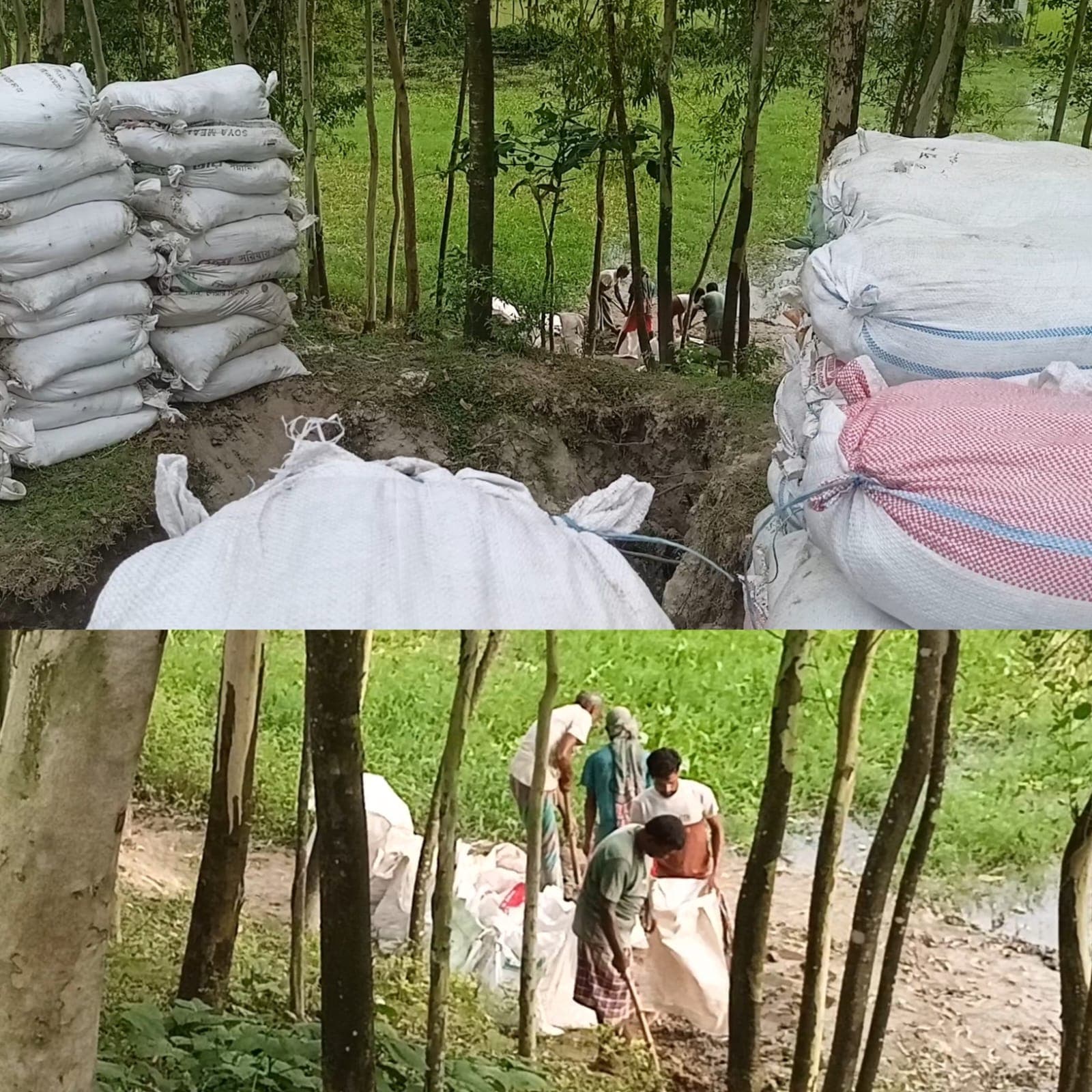 বাঁধের গোড়া খুঁড়েই মেরামতের অভিযোগ , গাইবান্ধা শহরের নিরাপত্তা নিয়ে চরম উদ্বেগে স্থানীয়রা