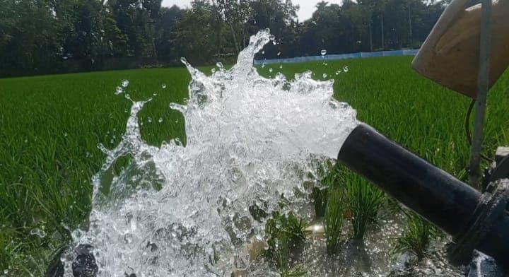 খড়া ও তীব্র তাপে শুকিয়ে চৌচির কুড়িগ্রামের নাগেশ্বরীর ধান ক্ষেত,অবশেষে শ্যালোমেশিন দিয়ে পানির সেচ 