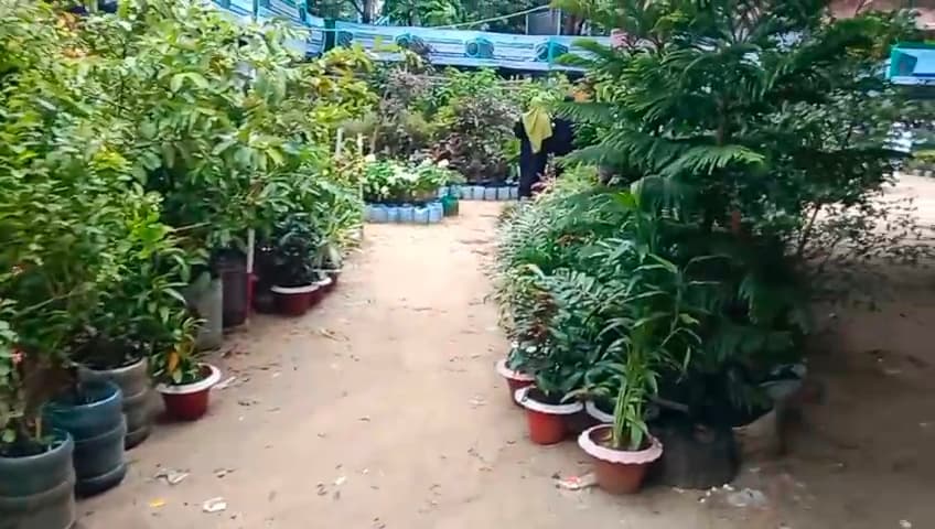 কক্সবাজারে বৃক্ষরোপণ অভিযান ও বৃক্ষমেলা-২০২৬ শুরু