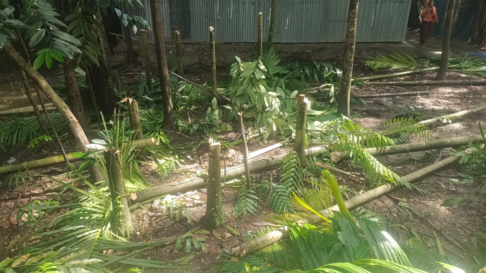 কমলনগরে ১০ লাখ টাকা চাঁদা দাবির অভিযোগ, দিনমজুরের বসতবাড়ি দখলের চেষ্টা