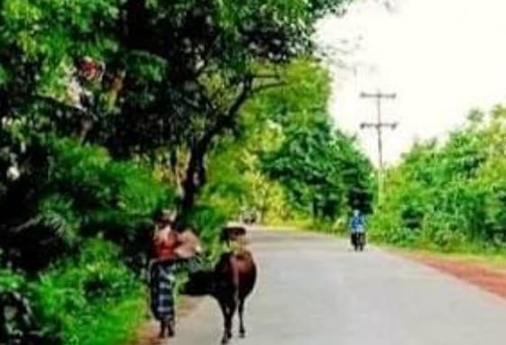 জোর করে মাদক খাইয়ে কিশোরকে মৃত্যুর মুখে ঠেলে দিল গ্যাং, নিখোঁজ ৬ কিশোরী, মনিরামপুরে চরম আতঙ্ক