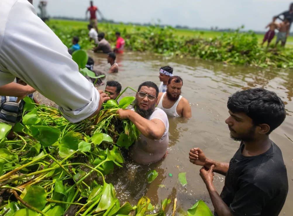৯ গ্রামের ২ হাজার পরিবারের দুর্ভোগ ঘুচাতে গলাপানিতে নেমে খালের কচুরিপানা পরিষ্কার করলেন আলেম এমপি