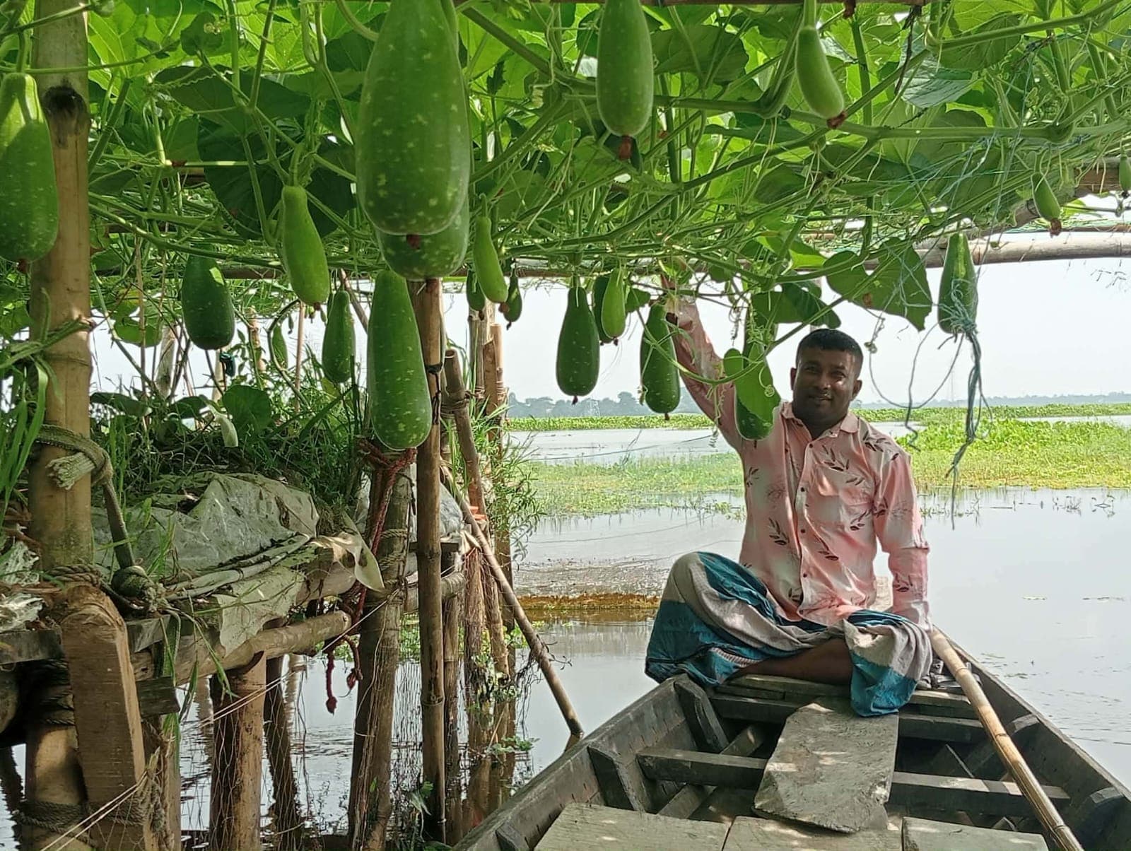 জলাবদ্ধ জমিতে ভাসমান ডালি পদ্ধতিতে সবজি চাষে বিপ্লব, কৃষকদের মুখে হাসির ঝিলিক 