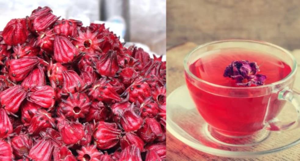 রোজেলা চা এর উপকারিতা ও অপকারিতা