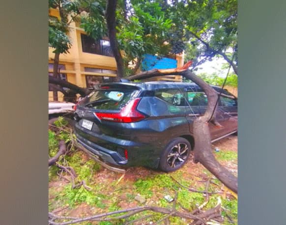 মিরপুরে গাছের ডাল পড়ে ভাঙল দুই গাড়ি