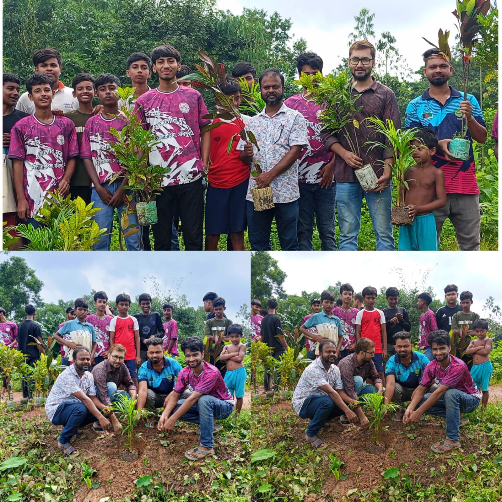 সখীপুরে শোলাপ্রতিমায় মানব কল্যাণ যুব সংঘের বৃক্ষরোপণ কর্মসূচি