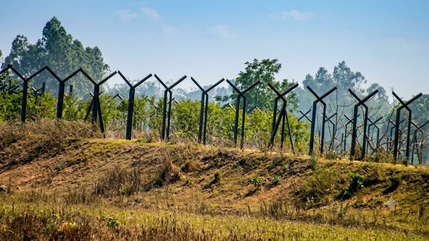 ঠাকুরগাঁওয়ে বিএসএফের গুলিতে  এক বাংলাদেশী নিহত, আহত ২