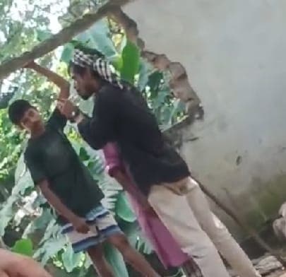 নবীনগর সরকারি পাইলট উচ্চ বিদ্যালয় মাঠের পাশে প্রকাশ্যে গাঁজা সেবনের ছড়াছড়ি