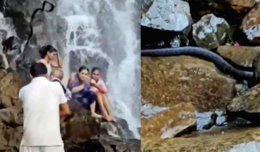 কোলে শিশু, কাঁধে হঠাৎ বিশাল সাপ! ঝর্ণায় বেড়াতে গিয়ে শিউরে ওঠা অভিজ্ঞতা যুবকের