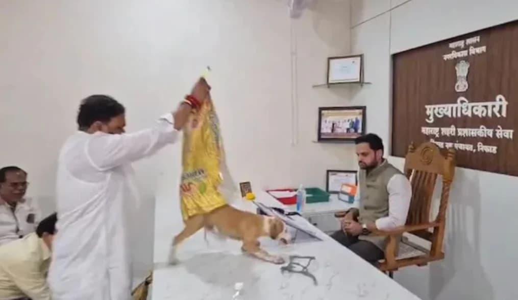 কর্মকর্তাদের উদাসীনতায় এবার টেবিলেই কুকুর, ৮ দিনের চরম হুঁশিয়ারি দিলেন প্রতিবাদকারীরা