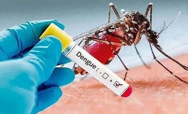 ডেঙ্গুর ছোবলে একদিনে ঝরল ৫ প্রাণ: দিশেহারা স্বজন, বাড়ছে মৃত্যু আতঙ্ক