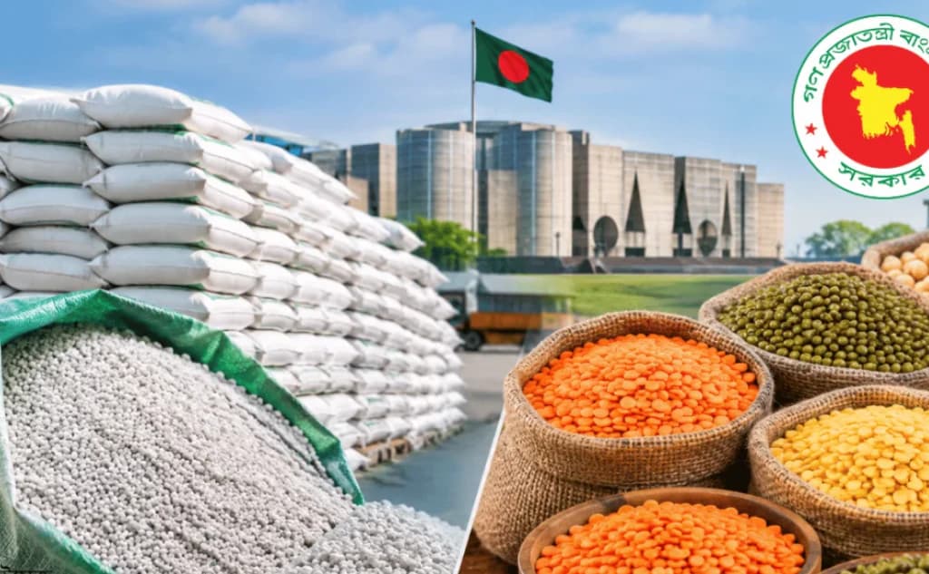 ১ লাখ ৫৫ হাজার টন সার ও ১০ হাজার টন ডাল আমদানির অনুমোদন দিল সরকার