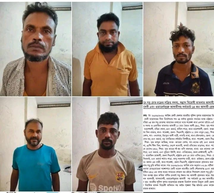ফেনী তে পুলিশের বিশেষ অভিযান চট্টগ্রাম থেকে ৩টি চোরাই গরু উদ্ধারসহ আন্তঃজেলা চোর চক্রের ৫ সদস্য ও বিভিন্ন মামলায় মোট ১৪ জন গ্রেফতার