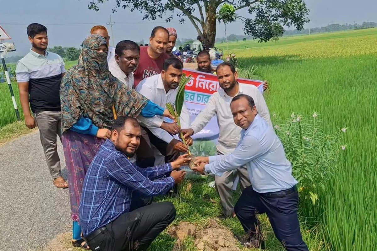 বজ্রপাতে প্রাণহানি ঠেকাতে জয়পুরহাটে ২০০ তালের চারা রোপণ