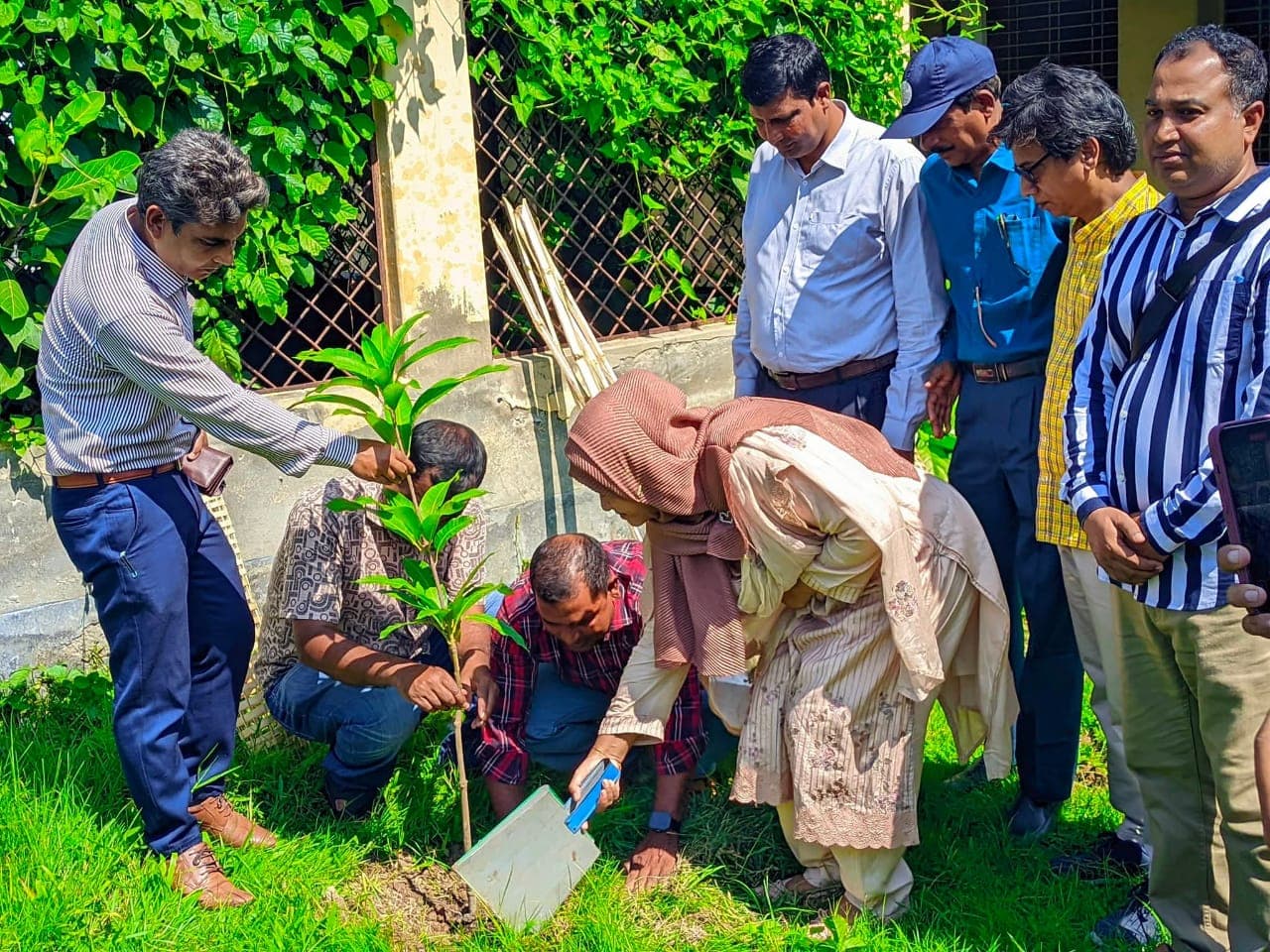 ধামইরহাটে  চকময়রাম সরকারি মডেল উচ্চ বিদ্যালয়ের শিক্ষার্থীদের মাঝে বৃক্ষের চারা বিতরন 