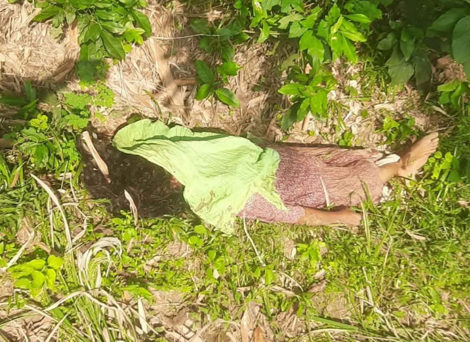 নিজ ঘরে ঘুমিয়ে ছিলেন বৃদ্ধা হালিমা, সকালে মিলল ধানক্ষেতে নিথর দেহ
