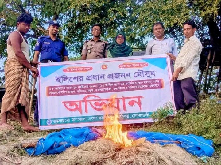 মা ইলিশ বাঁচাতে ফেনী নদীতে অভিযান, প্রাণ ফিরে পেল ১ লাখ চিংড়ি পোনা