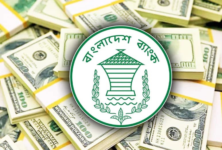 আগস্টের ২২ দিনেই দেশে এল ২১৪ কোটি ৮০ লাখ ডলার রেমিট্যান্স