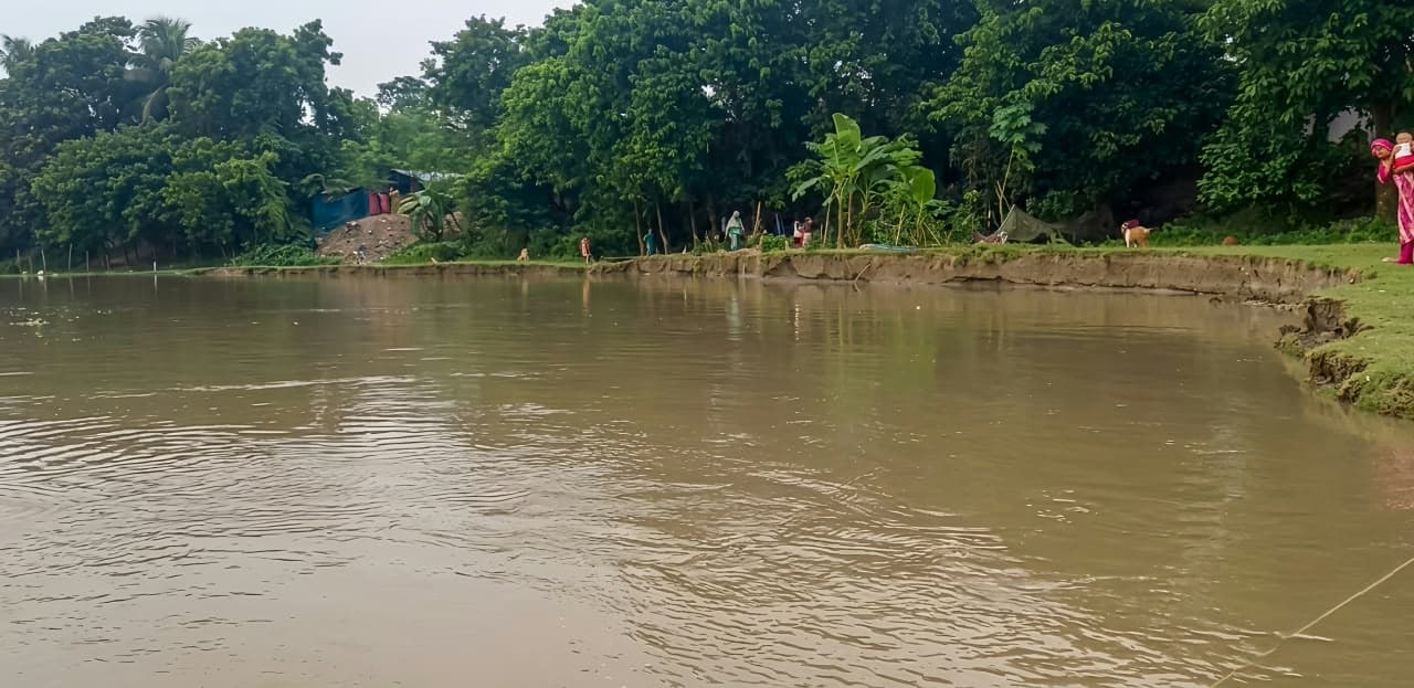 পদ্মার তীব্র ভাঙনে হুমকির মুখে কুঠিপাড়া, টেকসই বাঁধের দাবিতে ক্ষোভে ফুঁসছেন স্থানীয়রা