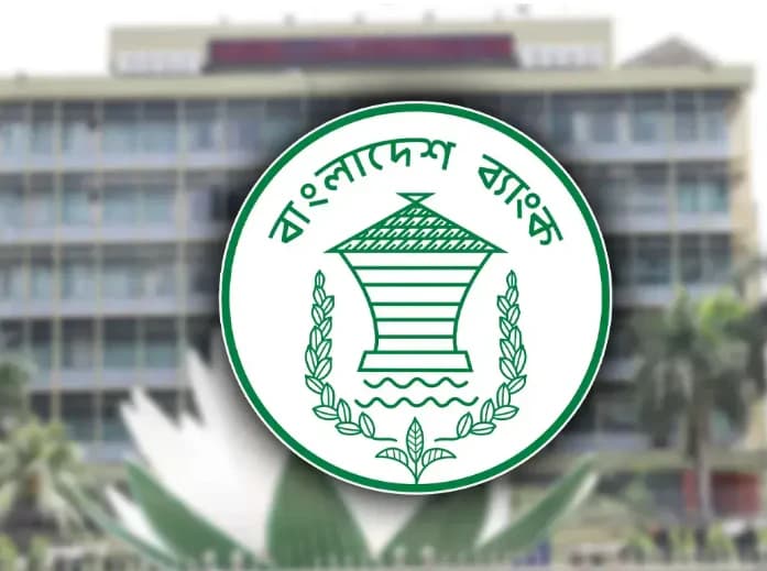 বড় ঋণগ্রহীতাদের জন্য ১৫ বছর সময় ও ২ বছর গ্রেস পিরিয়ড ঘোষণা করল বাংলাদেশ ব্যাংক