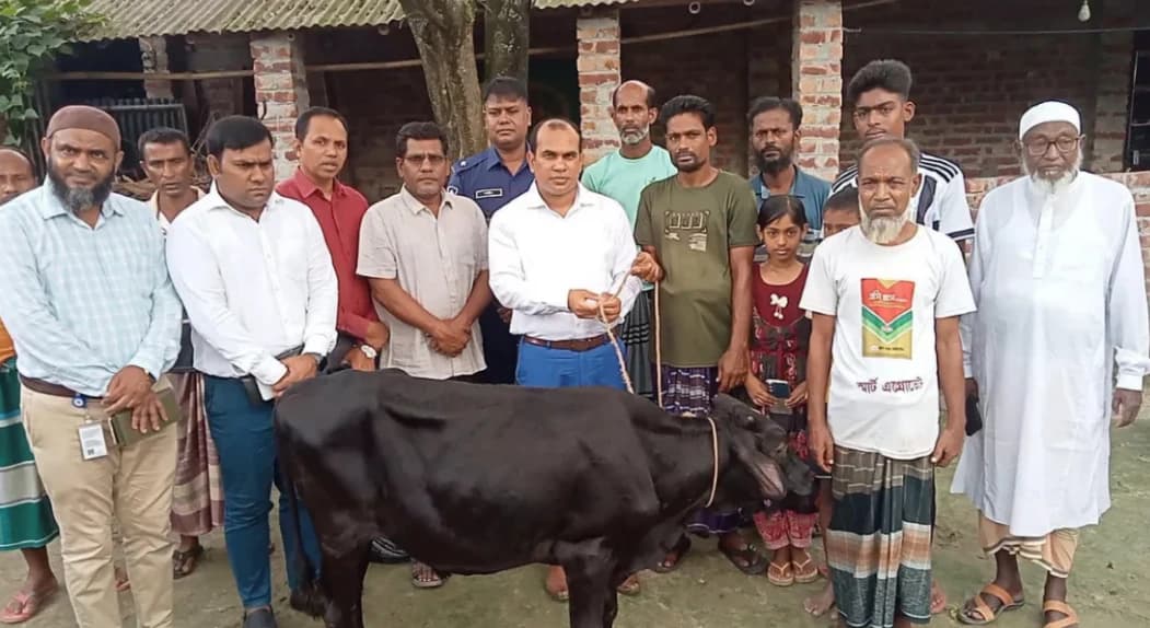 প্রতিমন্ত্রীর গাড়ীর ধাক্কায় নিহত ফিরোজার পরিবারকে গাভী প্রদান