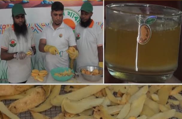 ভোলাহাটে আমের ফেলে দেওয়া খোসা থেকে তৈরি হচ্ছে সুস্বাদু ‘ম্যাংগো পিল টি’, তিন বন্ধুর তাক লাগানো উদ্ভাবন